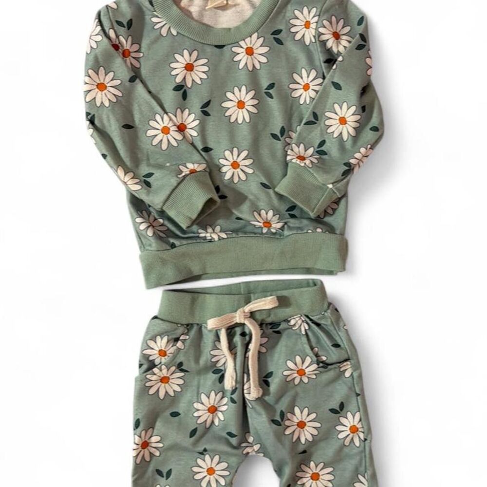 Baby Girl Sweatshirt/ Pants outfit -size 12 months